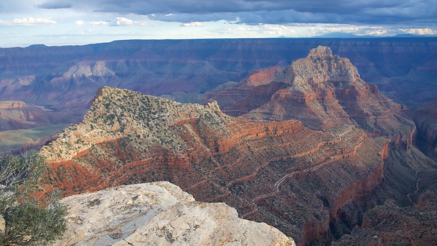 Cape Royal featuring desert views, tranquil scenes and a gorge or canyon