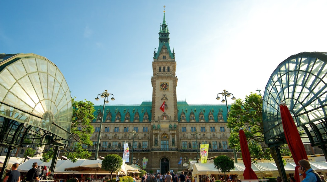 Hamburg City Hall showing an administrative buidling, a city and heritage architecture