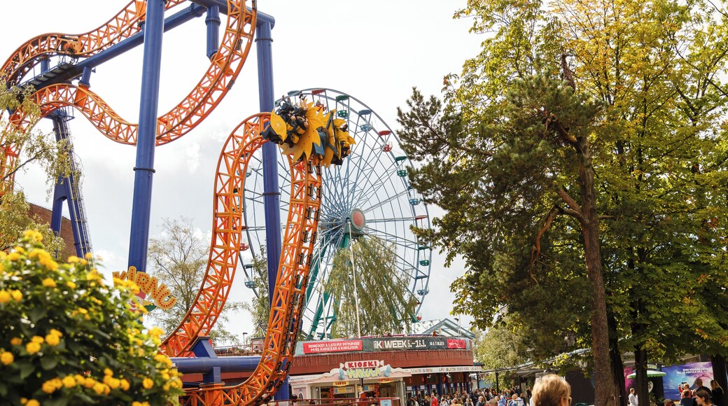 Helsinki_LinnanmakiAmusementPark_501177_04