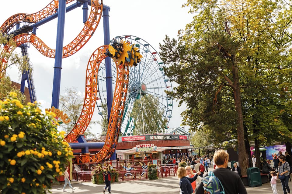 A roller coaster, a Ferris wheel, and a park with people.