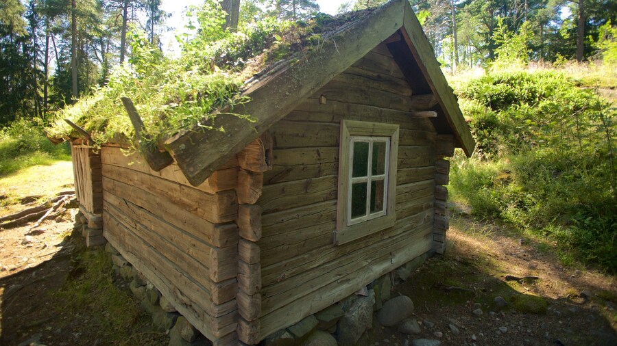 Museo al aire libre Seurasaari