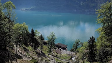 Amazing cafe at St Beatus Cave gives you a breeze from waterfall and this amazing view of Lake Thun :)
A must go place if you visit Interlaken.
Experience here is just amazing.
#lifeatexpedia