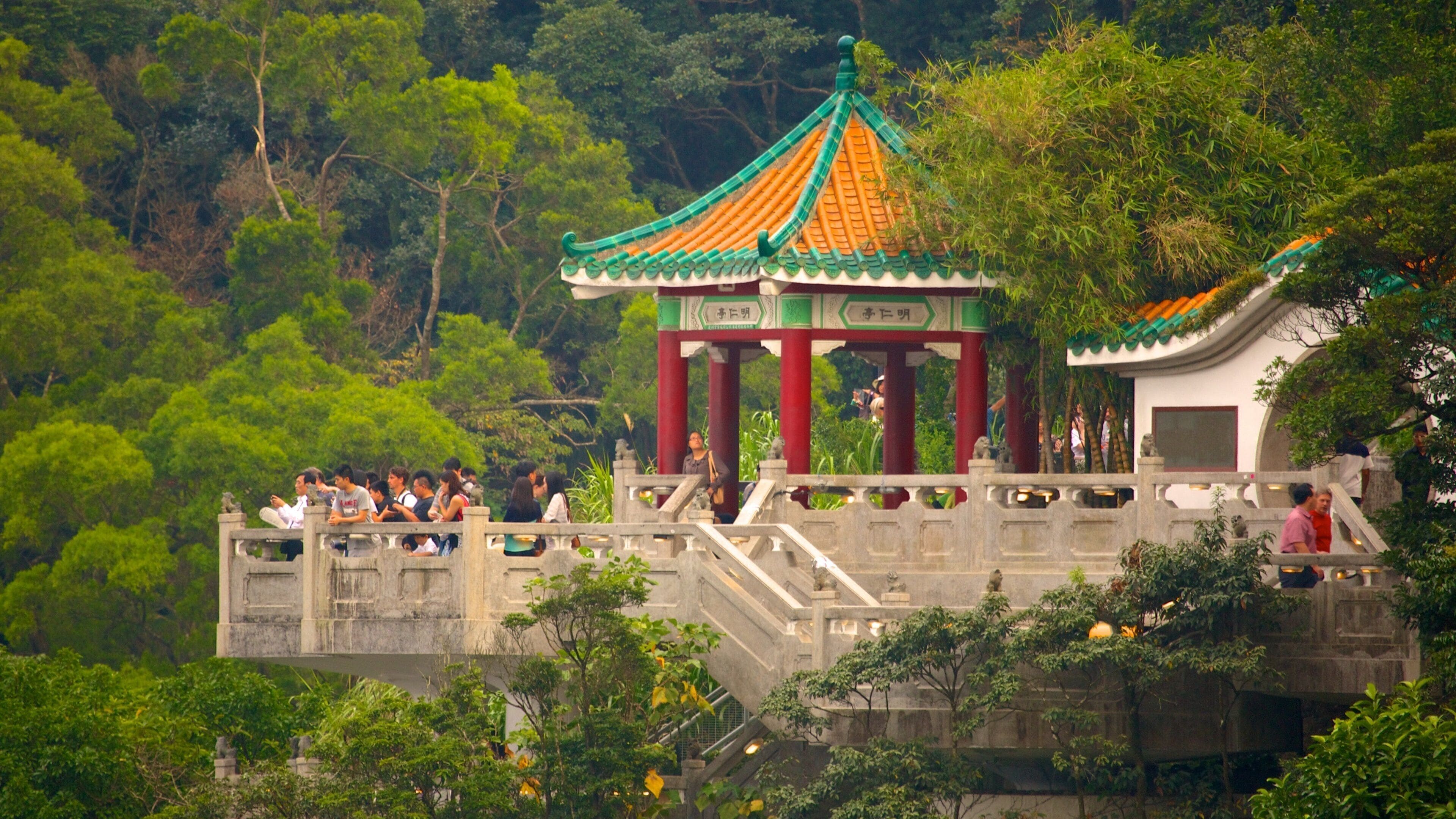 Torre Victoria Peak que inclui paisagens e um parque