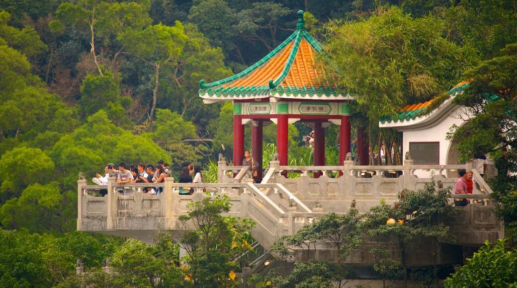 Torre Victoria Peak que inclui paisagens e um parque