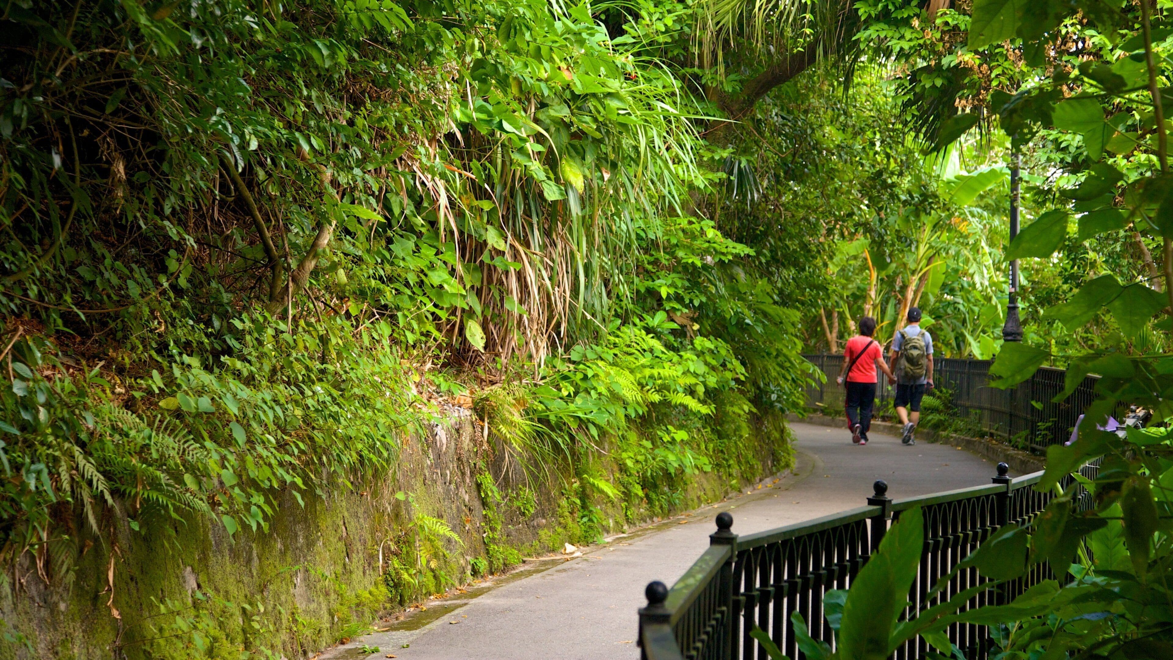 Victoria Peak Tower which includes a garden and rainforest as well as a couple