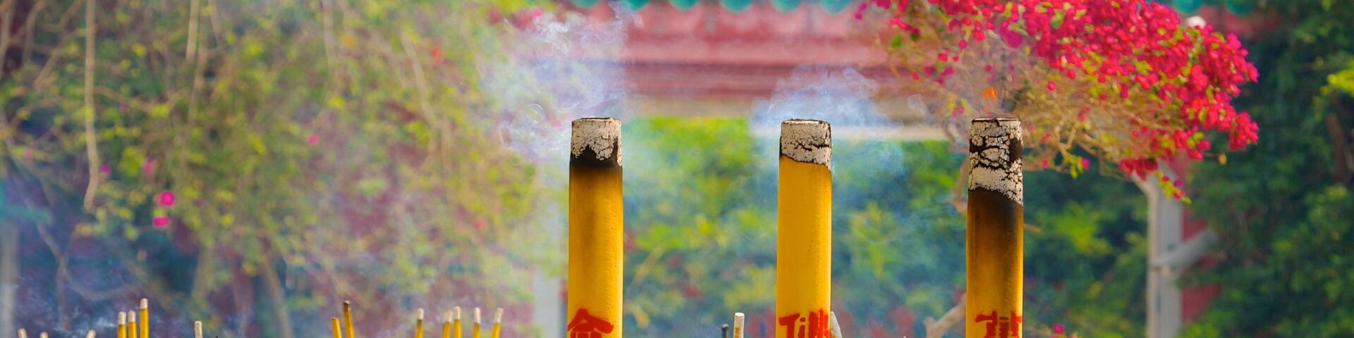 Po Lin Monastery which includes religious elements, a temple or place of worship and flowers