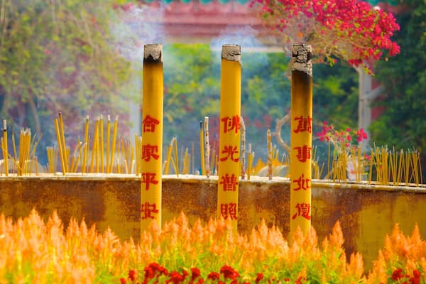 MonastĂšre de Po Lin montrant temple ou lieu de culte, aspects religieux et fleurs