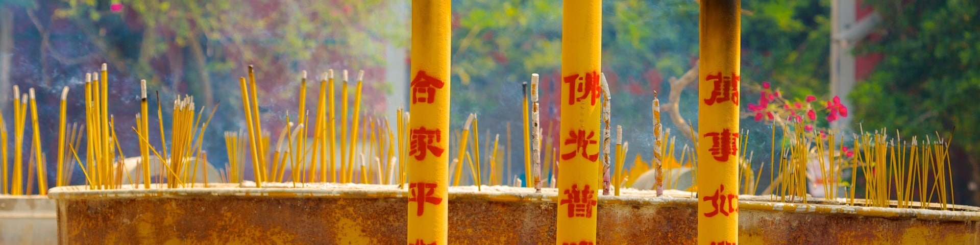 Po Lin Monastery which includes religious elements, a temple or place of worship and flowers
