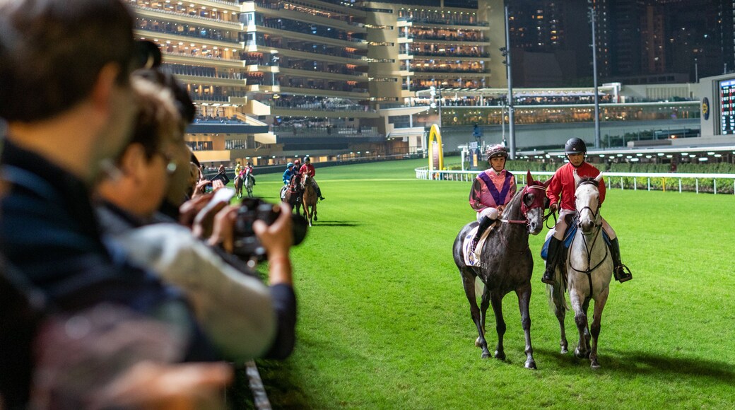 Happy Valley Race Course which includes land animals, horseriding and a sporting event