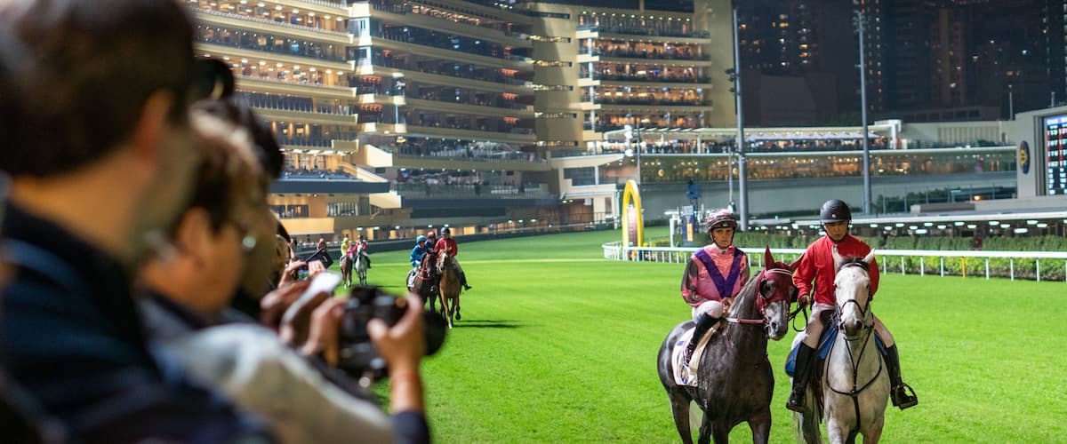Happy Valley Race Course which includes land animals, horseriding and a sporting event