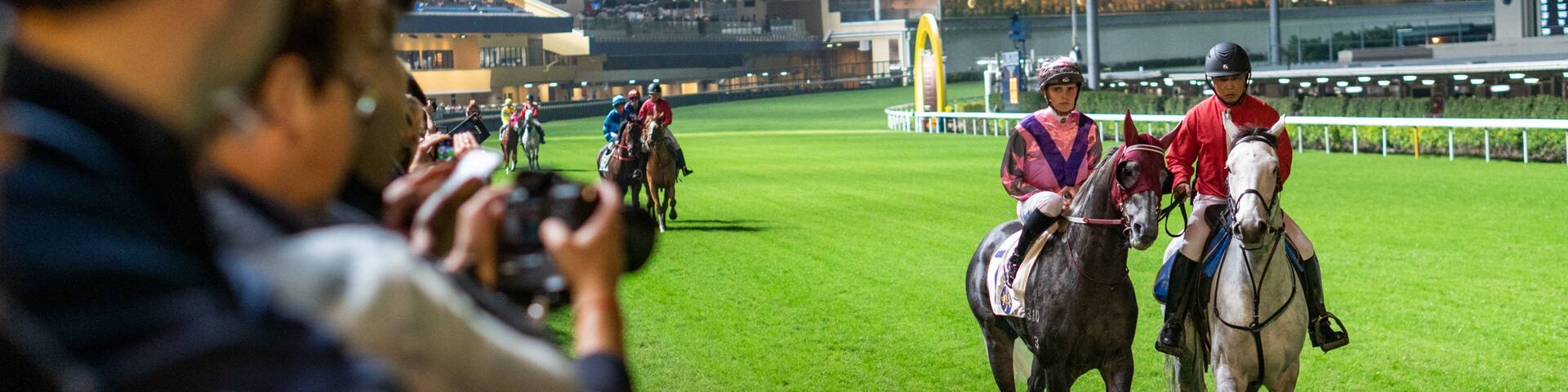 Happy Valley Race Course which includes land animals, horseriding and a sporting event