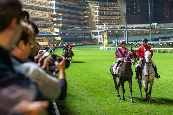 Happy Valley Race Course which includes land animals, horseriding and a sporting event