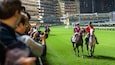 Happy Valley Race Course which includes land animals, horseriding and a sporting event