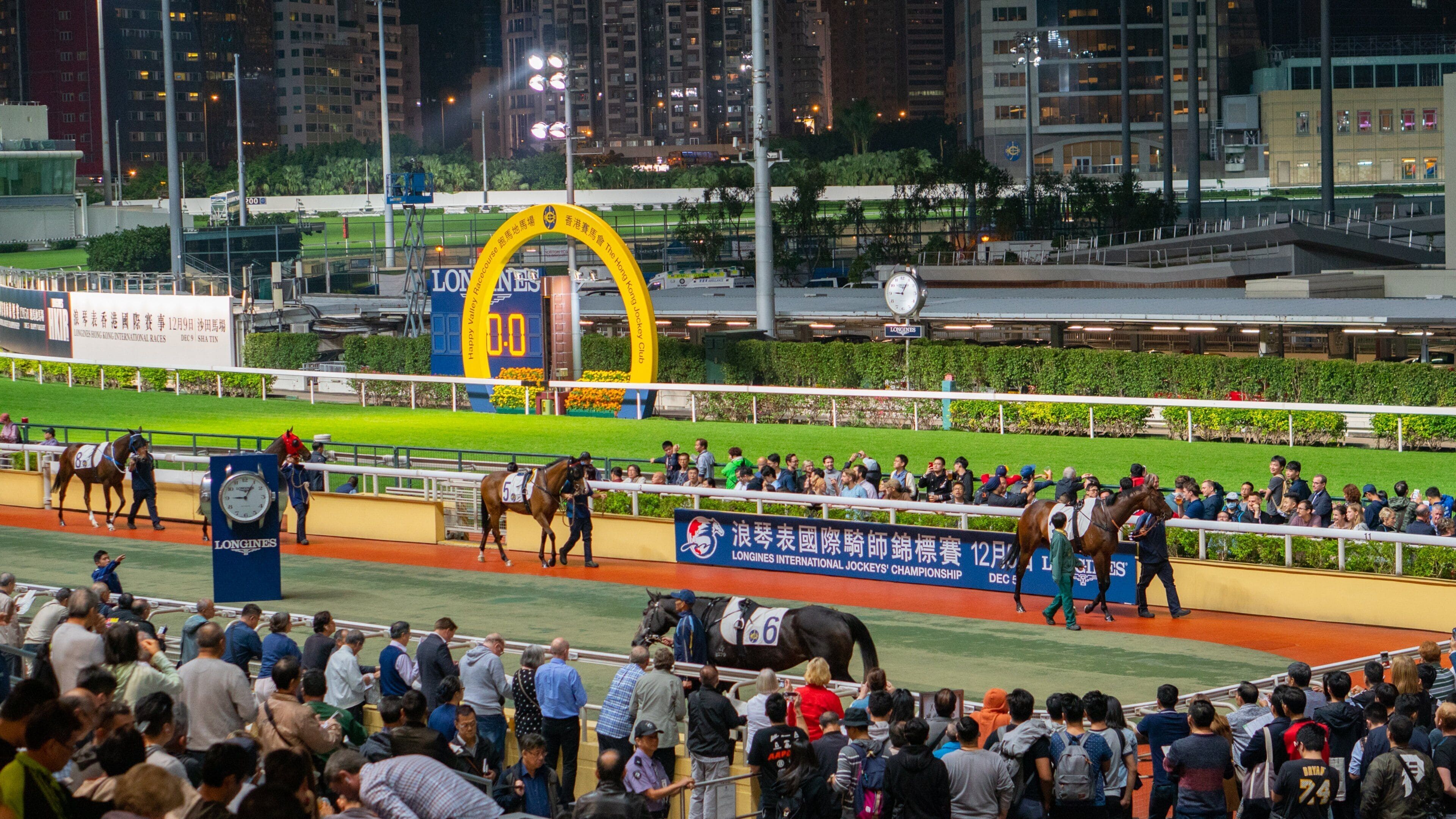 Happy Valley Race Course showing night scenes, horseriding and land animals