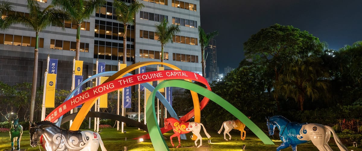 Happy Valley Race Course showing signage, outdoor art and night scenes