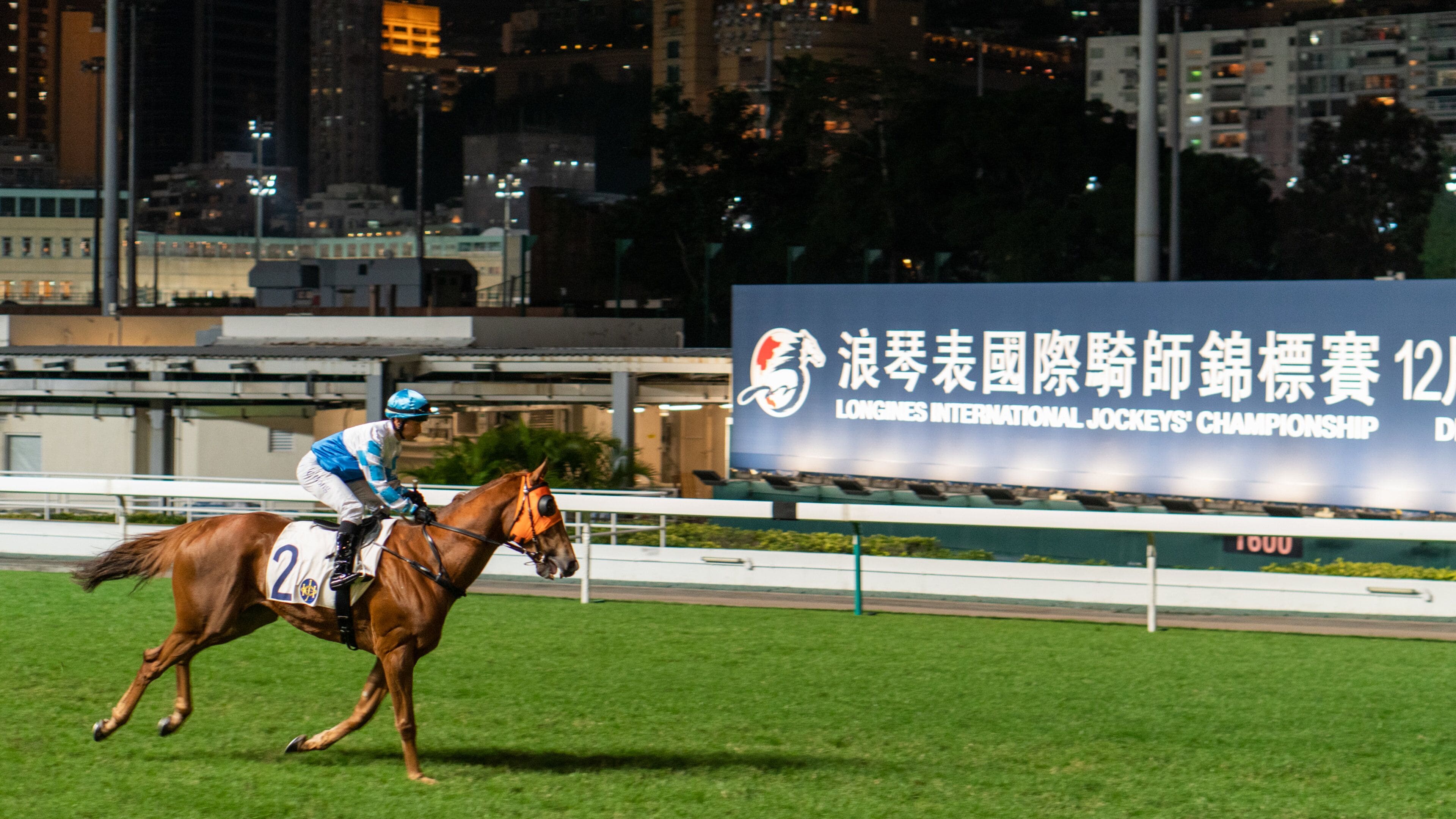 Happy Valley Race Course which includes horseriding, land animals and a sporting event
