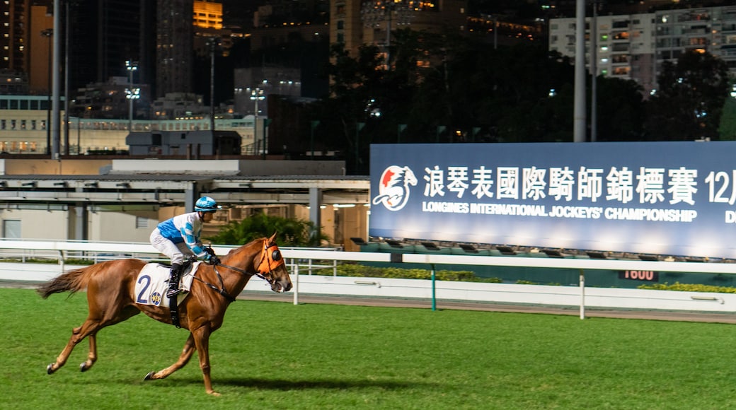 Happy Valley Race Course which includes horseriding, land animals and a sporting event