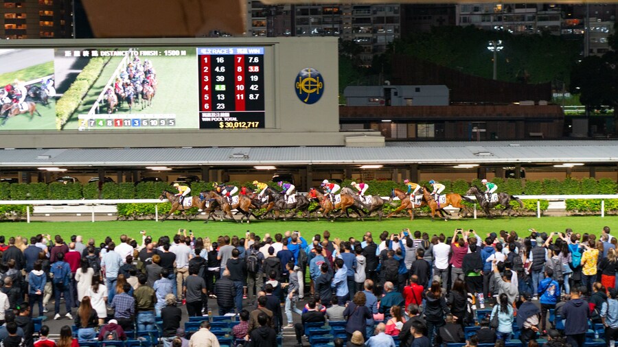 Happy Valley Race Course featuring land animals, night scenes and horseriding
