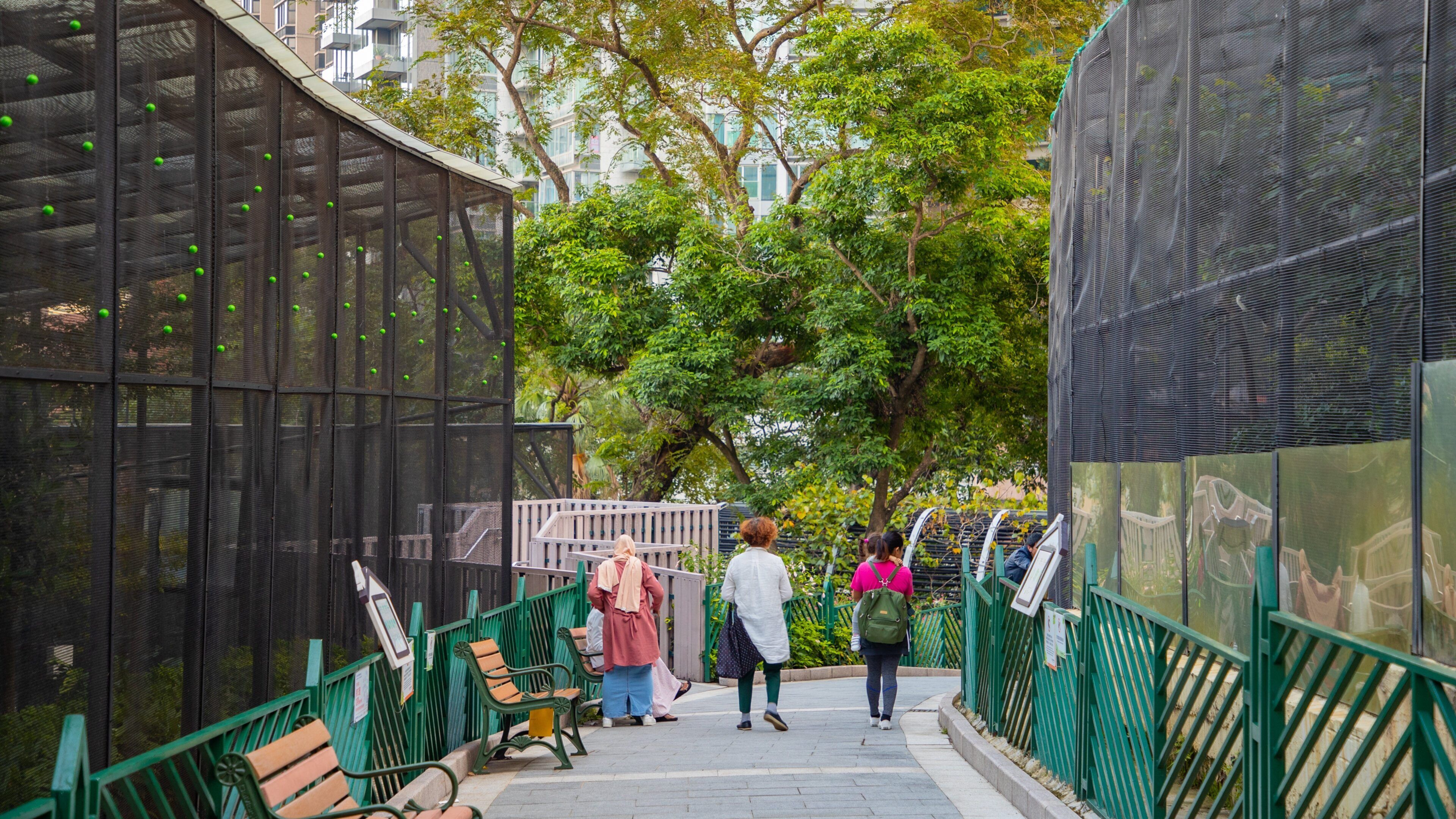 Hong Kong Zoo and Botanical Gardens showing zoo animals