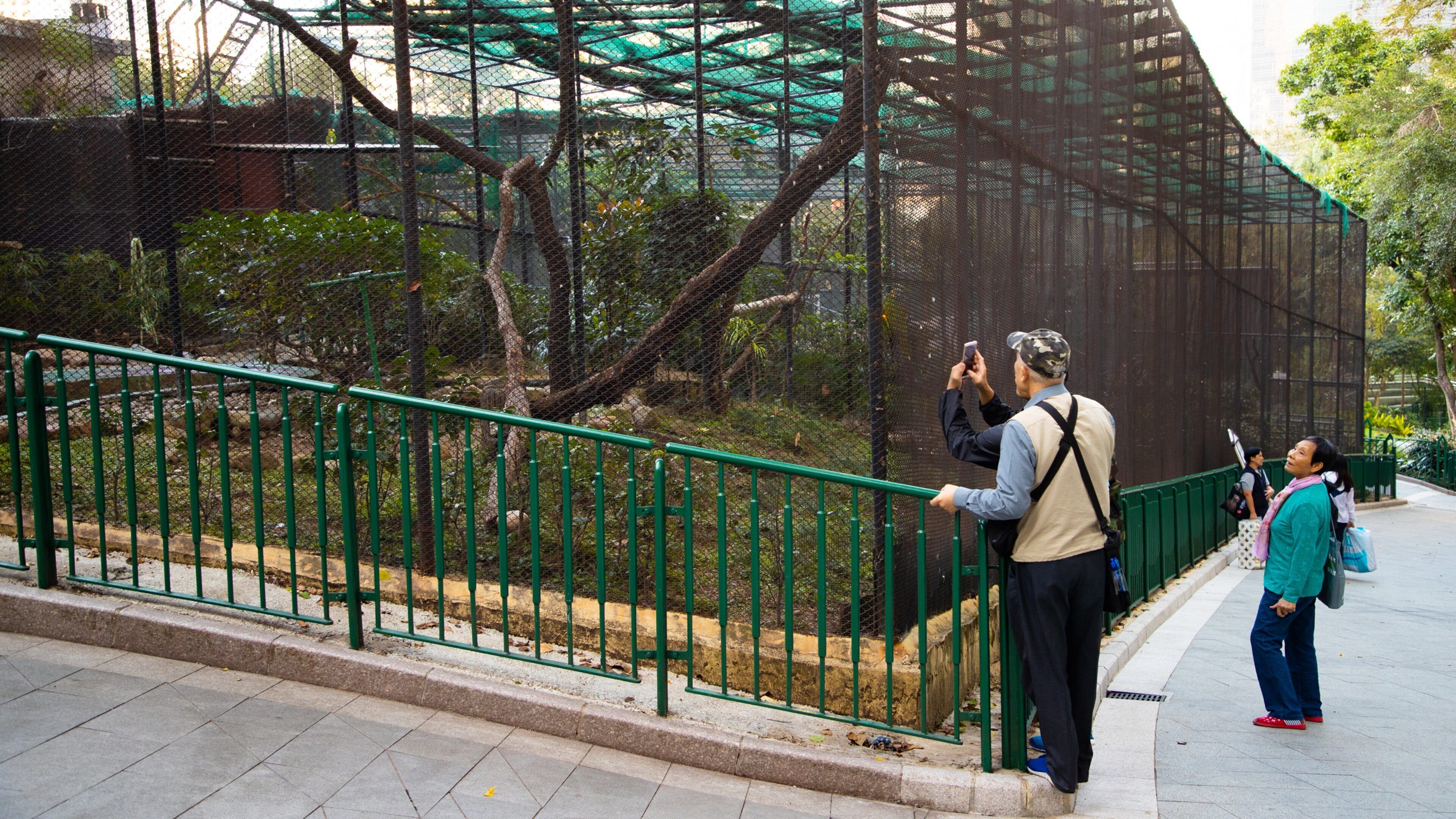 Hong Kong Zoo and Botanical Gardens showing zoo animals as well as a small group of people
