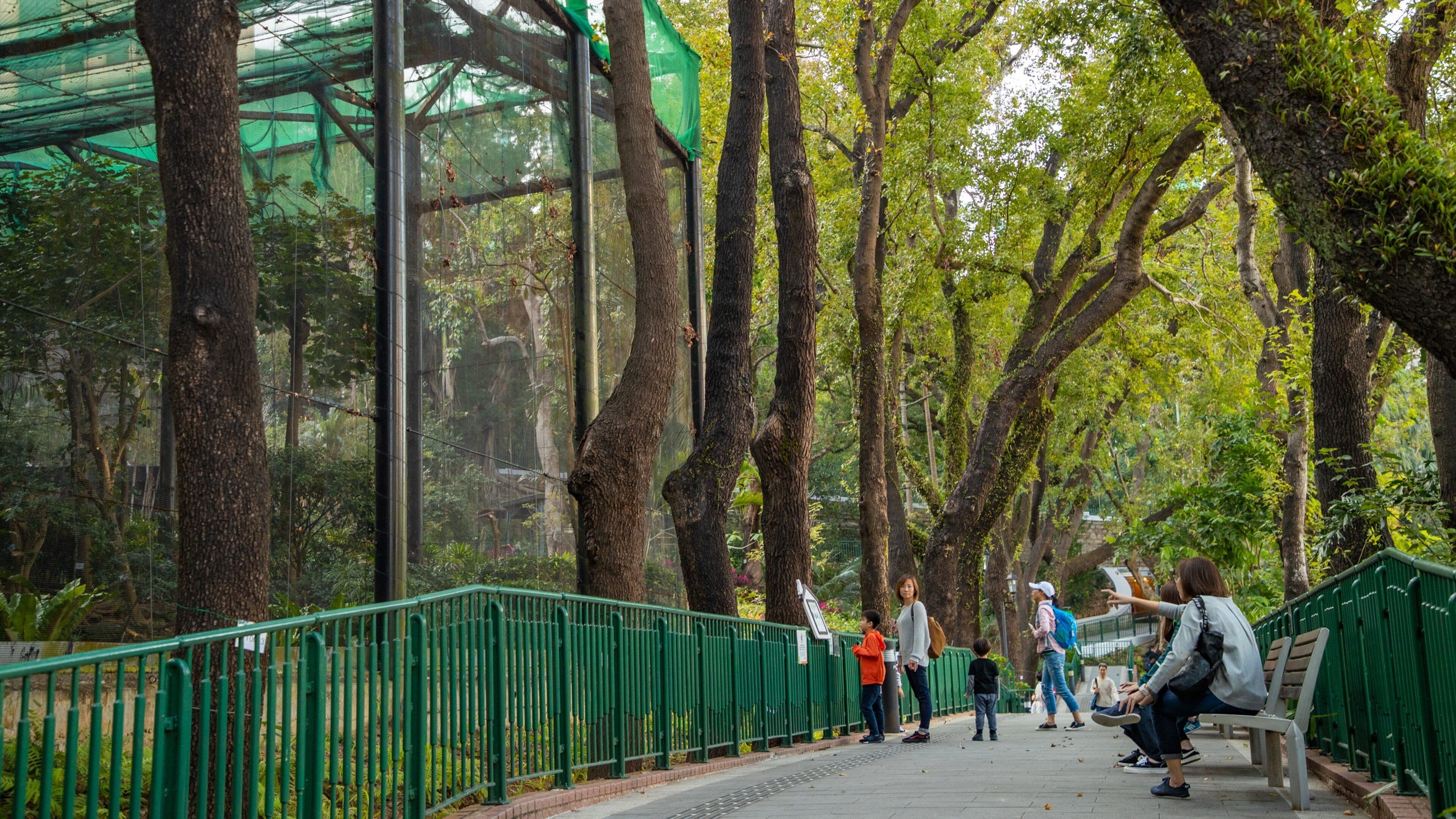 Hong Kong Zoo and Botanical Gardens which includes zoo animals