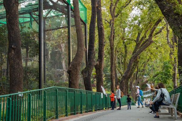 Hong Kong Zoo and Botanical Gardens which includes zoo animals