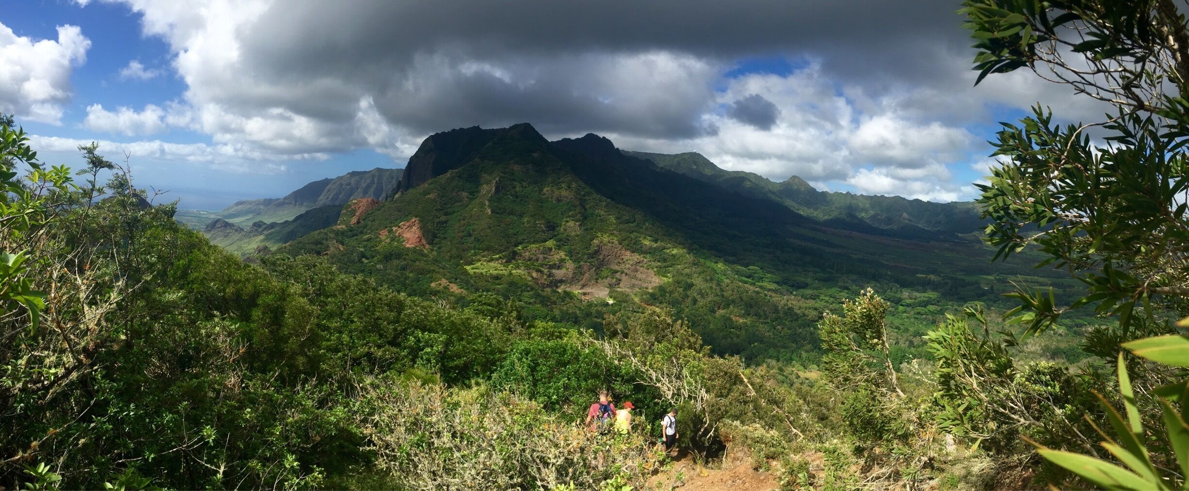 Access the Pu'u Hapapa trail from KoleKole Pass. Trailhead up to Pu'u Hapapa is not marked, but it's easy to spot on the left side of the field clearing just before the KoleKole lookout. The short but steep climb up is worth it.