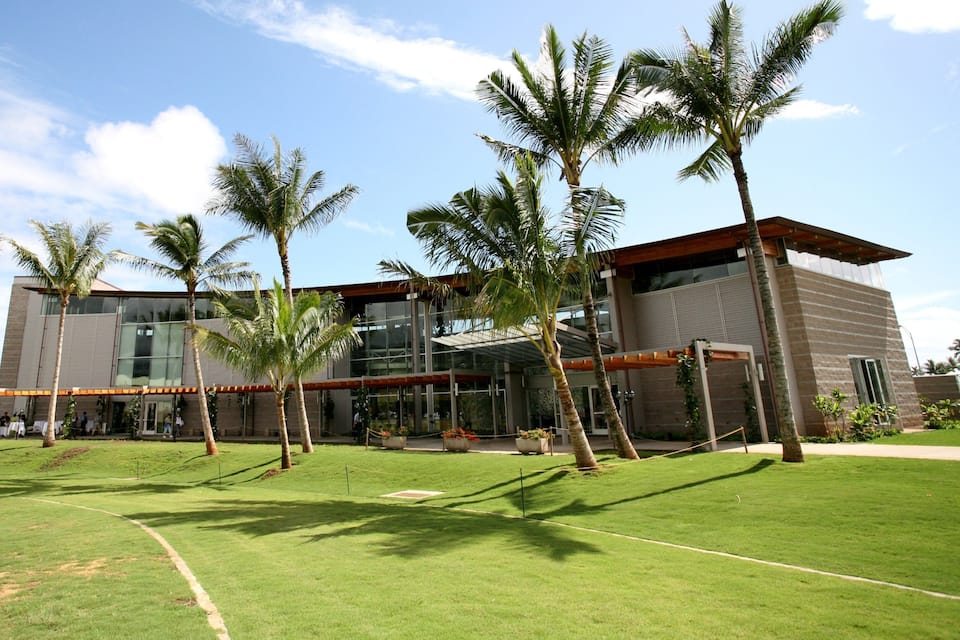 A modern building with glass windows and palm trees in the foreground.