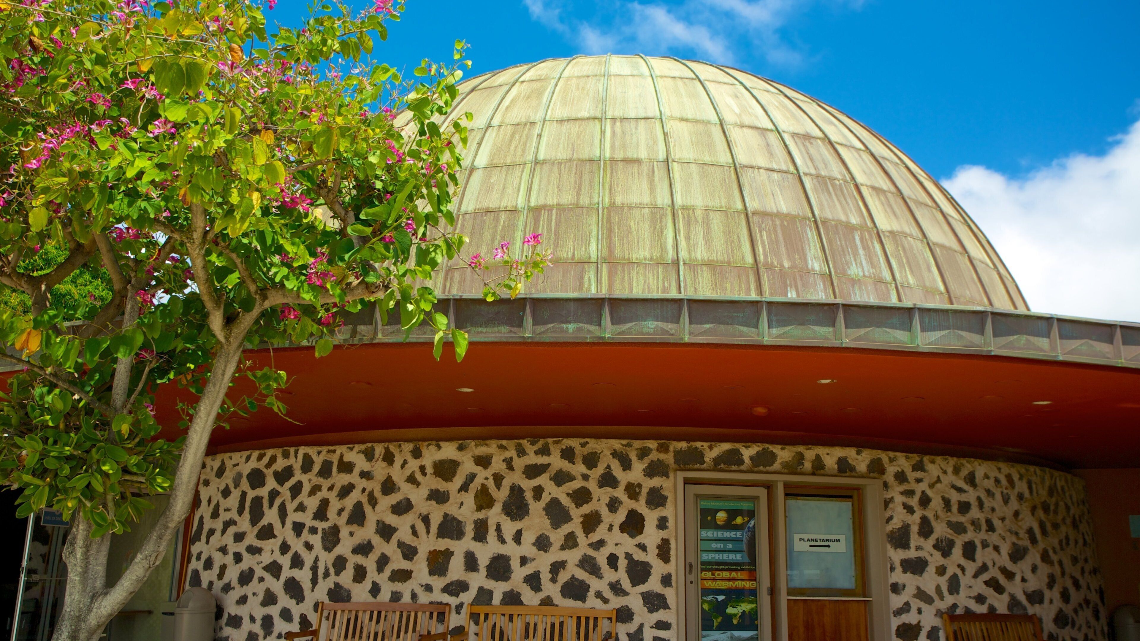ビショップ博物館 表示 花