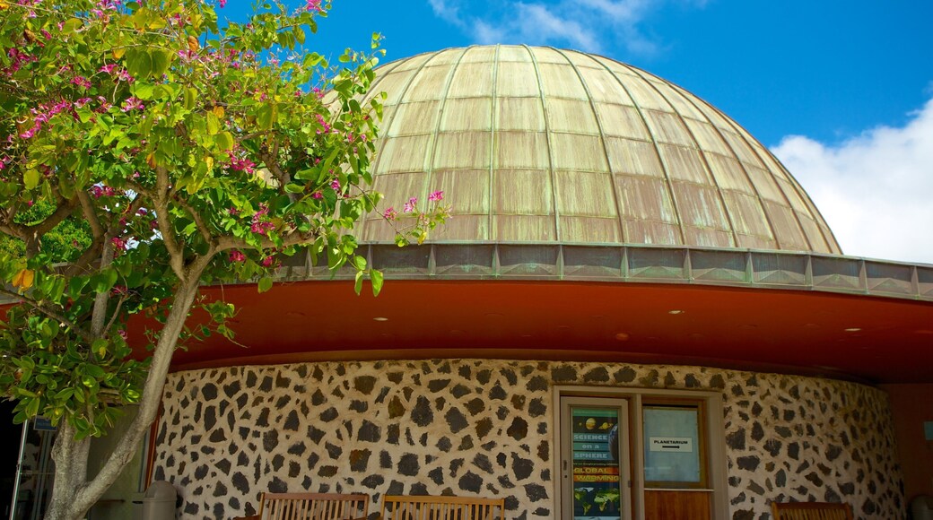 ビショップ博物館 表示 花