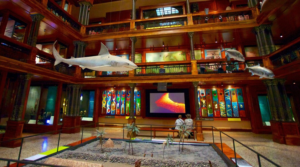 Bishop Museum which includes interior views