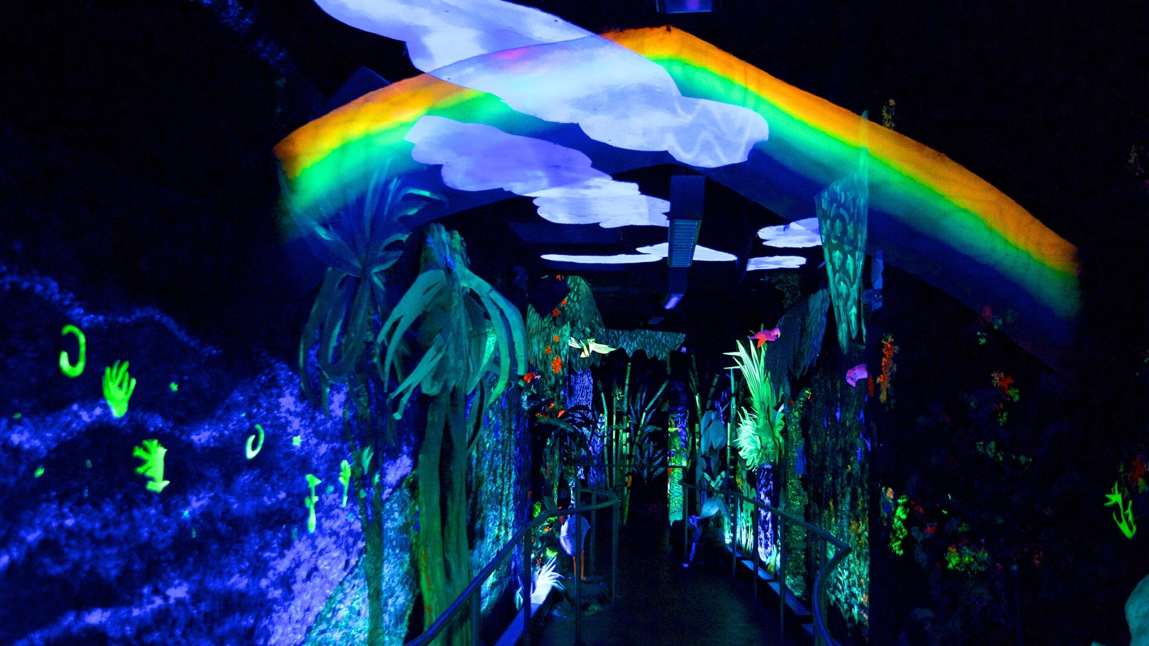 Bishop Museum showing interior views