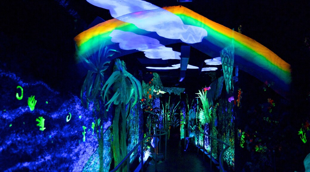 Bishop Museum showing interior views