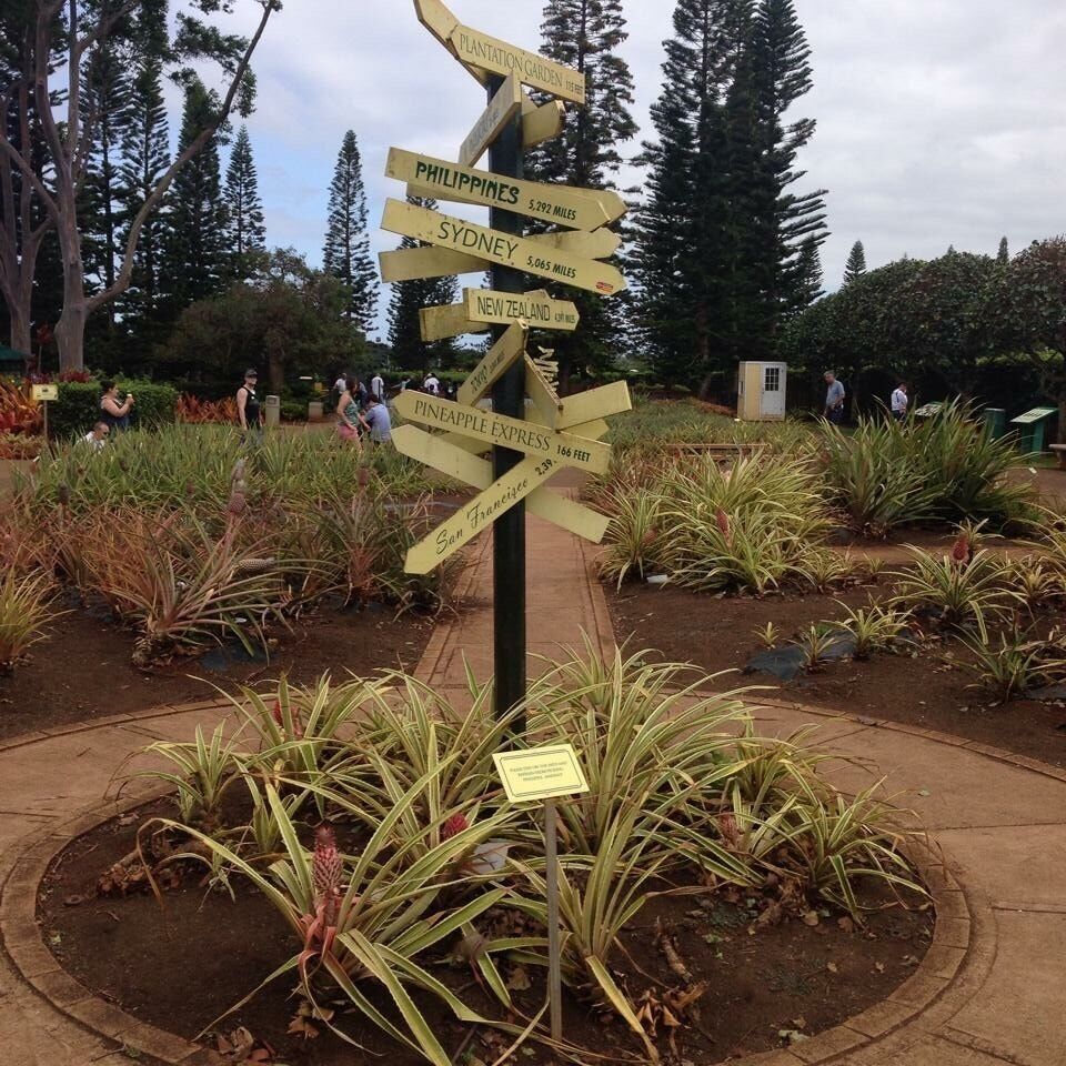 #travelbug #hnl #northshore #hawaii #oahu #dole #plantation