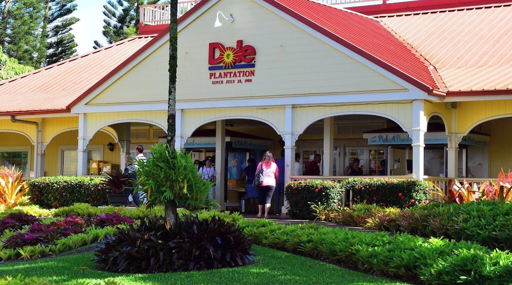 Alright to call in and have a look pretty touristy though. If you need a feed of pineapple just stop at one of the sideroad vendors.