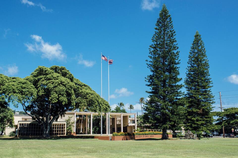 Un campus universitario con un gran árbol, un asta de bandera con la bandera estadounidense y un alto árbol de hoja perenne.