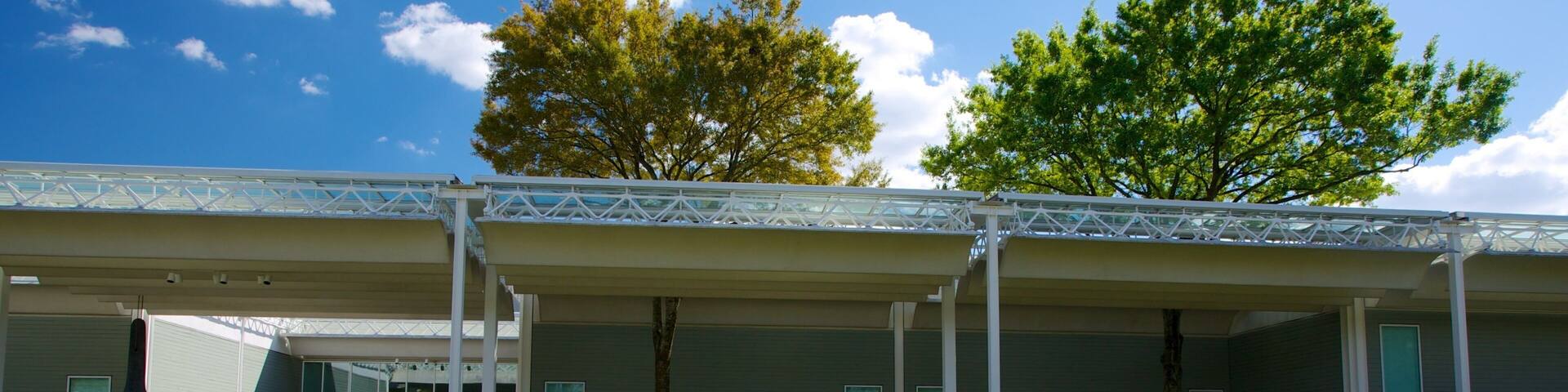 メニル コレクション 表示 庭園