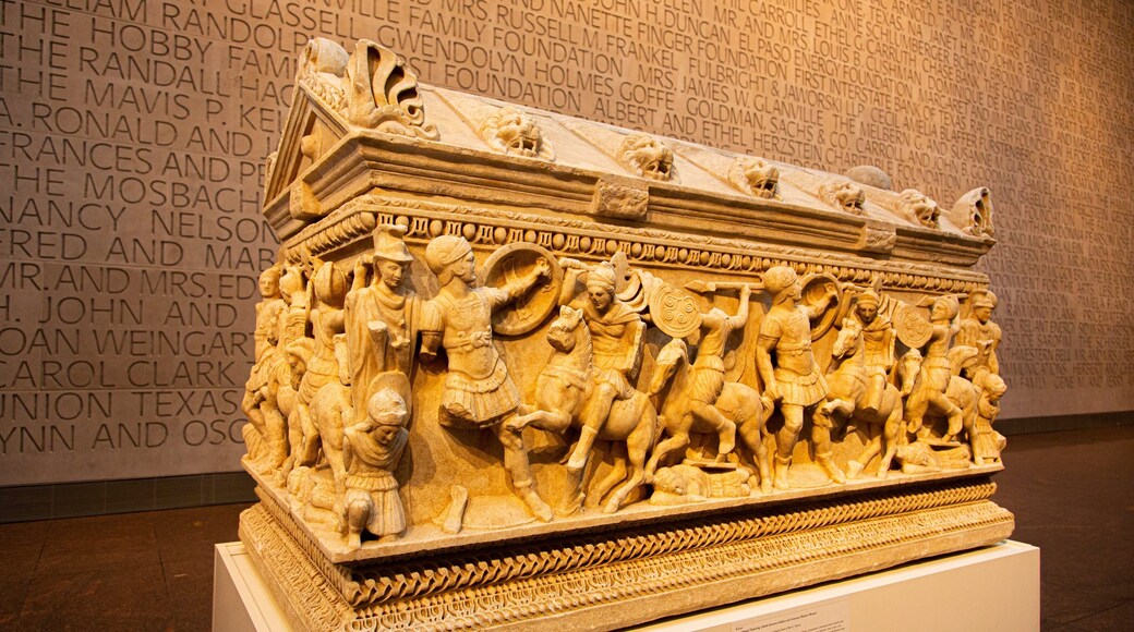 Houston Museum of Fine Arts