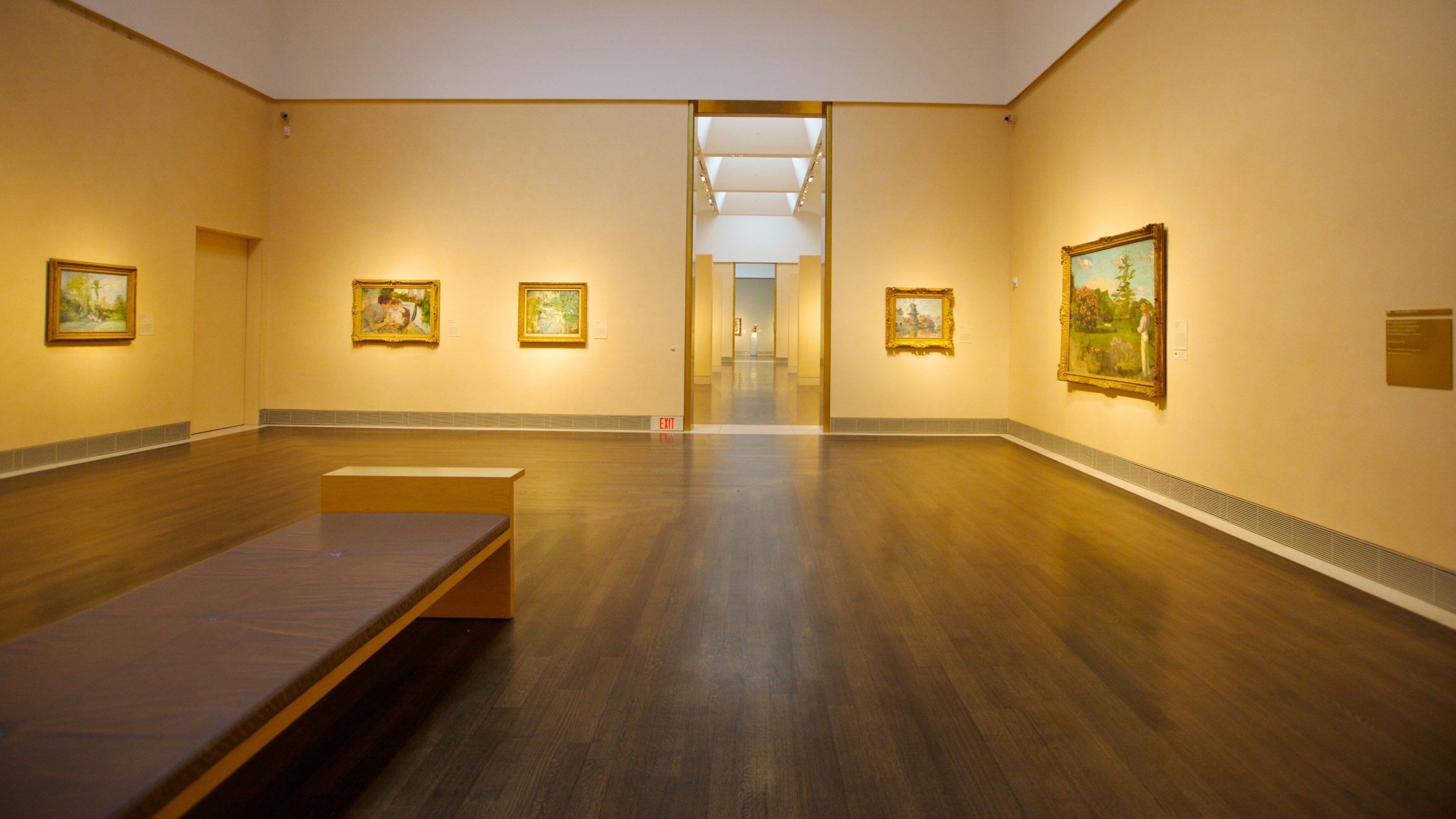 Houston Museum of Fine Arts showing interior views