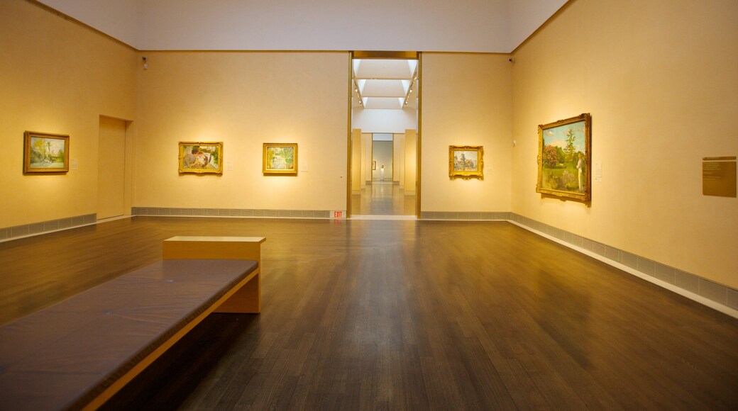 Houston Museum of Fine Arts showing interior views