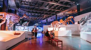 Houston Natural Science Museum featuring heritage elements and interior views