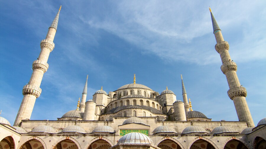 Blue Mosque showing a mosque, heritage architecture and religious aspects