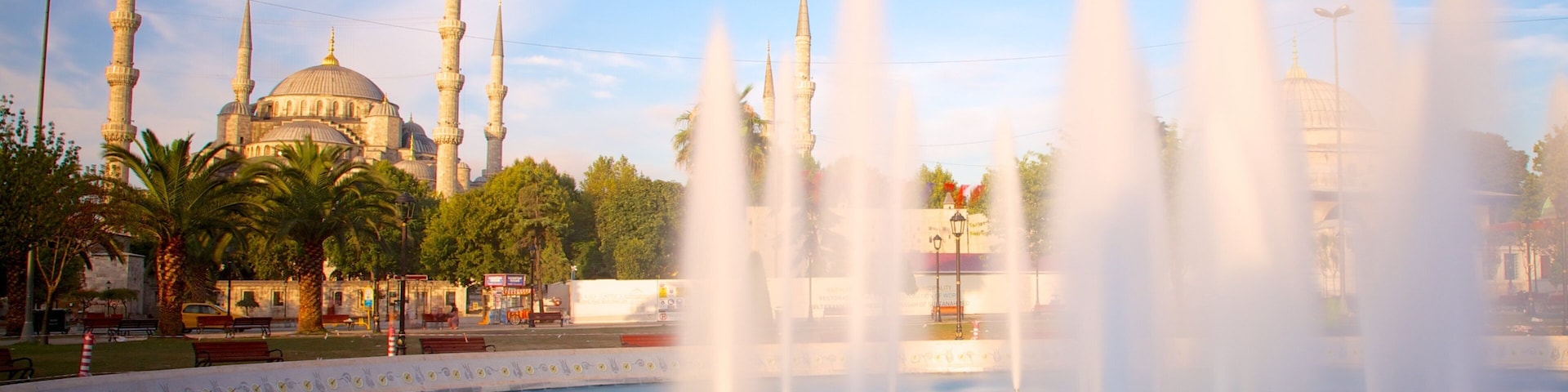 Blue Mosque featuring a mosque, a pond and a fountain