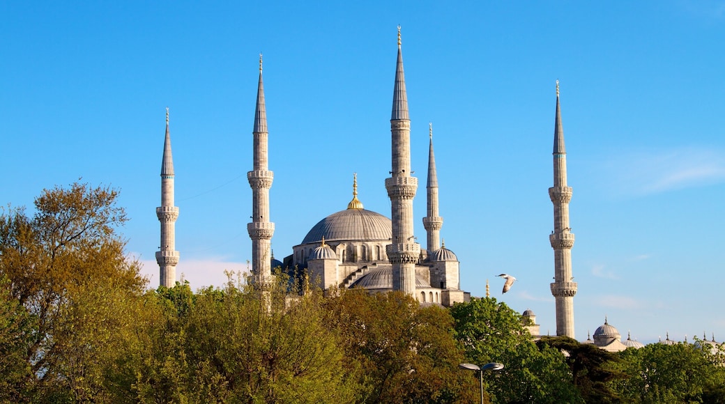 Blue Mosque showing heritage architecture and a mosque