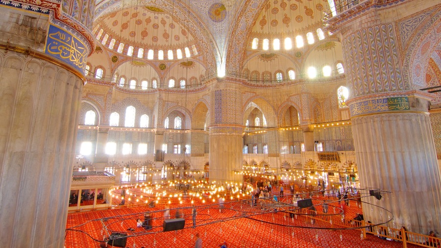 Blue Mosque showing religious elements, a mosque and interior views
