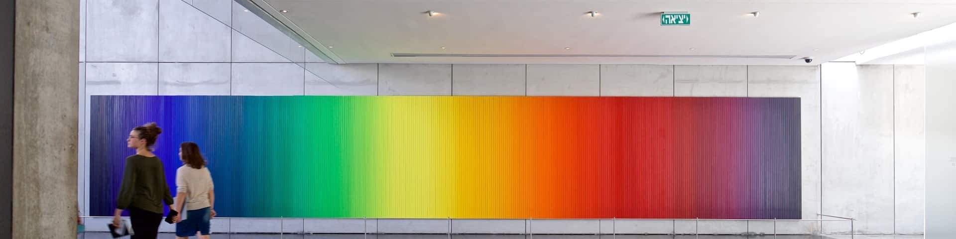 Israel Museum featuring art and interior views as well as a couple