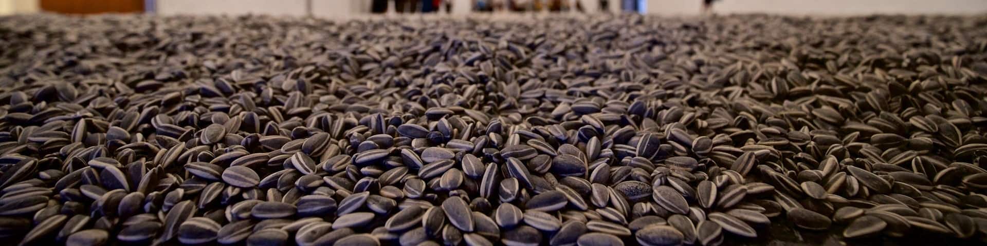 Israel Museum which includes interior views