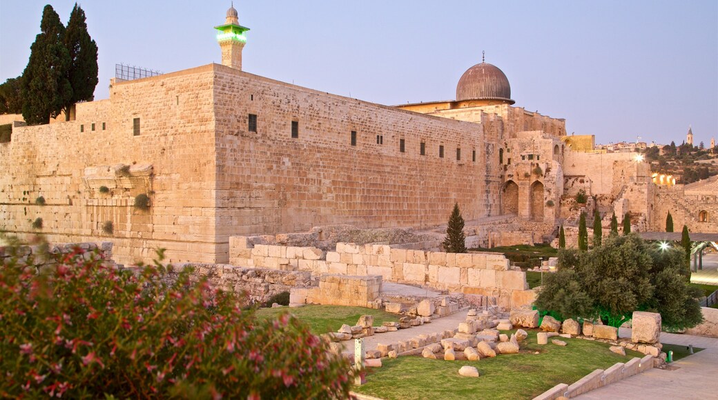 Al-Aqsa Mosque which includes heritage architecture, a ruin and wild flowers