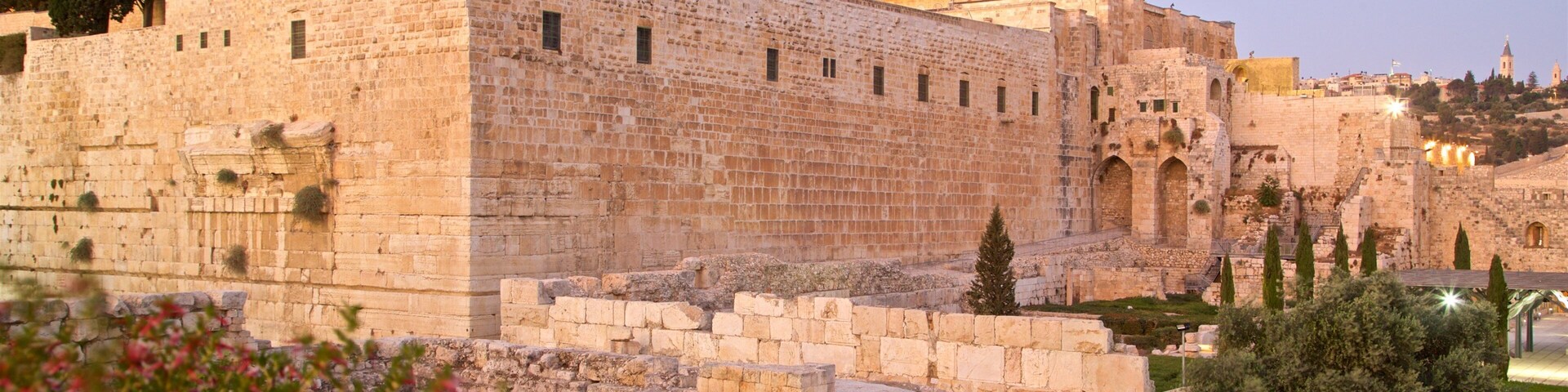 Al-Aqsa Mosque featuring wildflowers, heritage architecture and building ruins