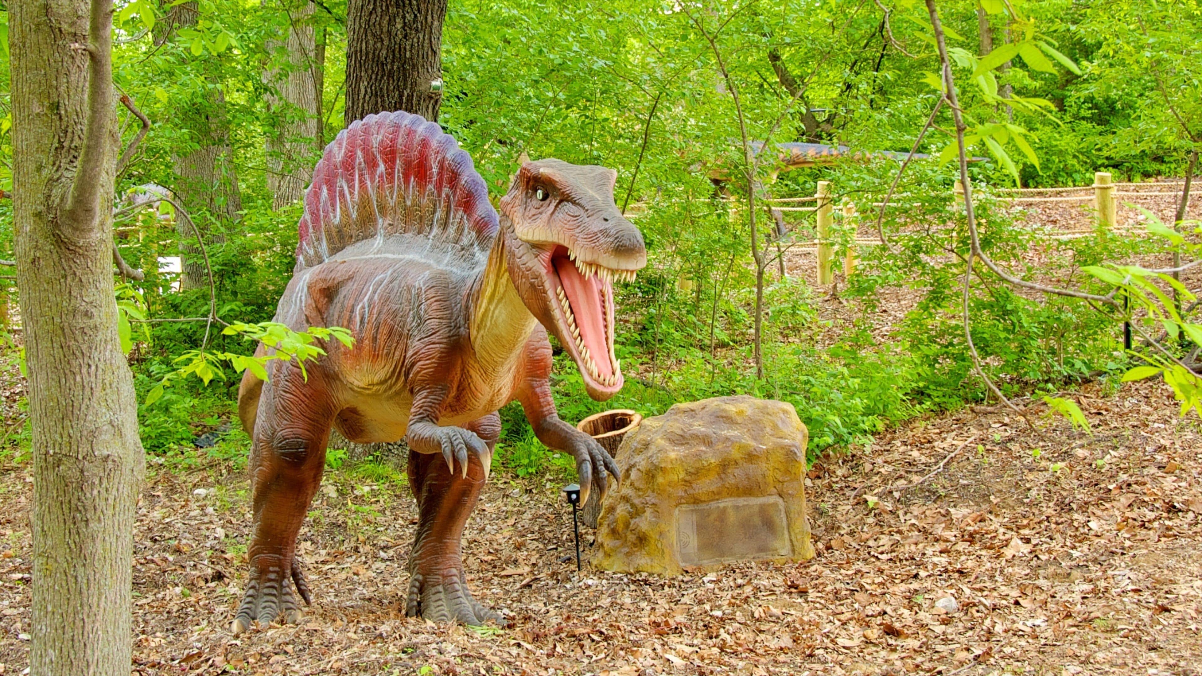 Worlds of Fun fasiliteter samt karusell